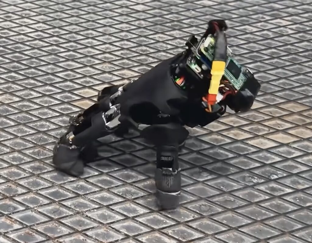 Robots in Society, Business and Culture: September 2026