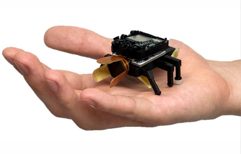 Unusual robotic animals can prove their utility